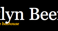 the-brooklyn-beefsteak