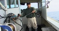 Keeping Afloat w/ PE & DD Seafood: Why Supporting Small, Local Commercial Fishermen is Important