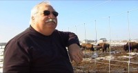 North Quarter Farm: Farming Bison to Build Back a True American Breed