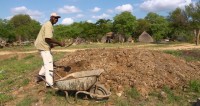 Rhino Dung: A Sustainable Option for Growing Great Vegetables in South Africa