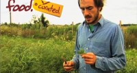 SAVEUR’s 2011 Best Food Blog Awards Selects food. curated. as a Finalist for Best Video Content