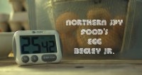 GoogaMooga Sneak Peek: Northern Spy Food’s Egg Begley, Jr