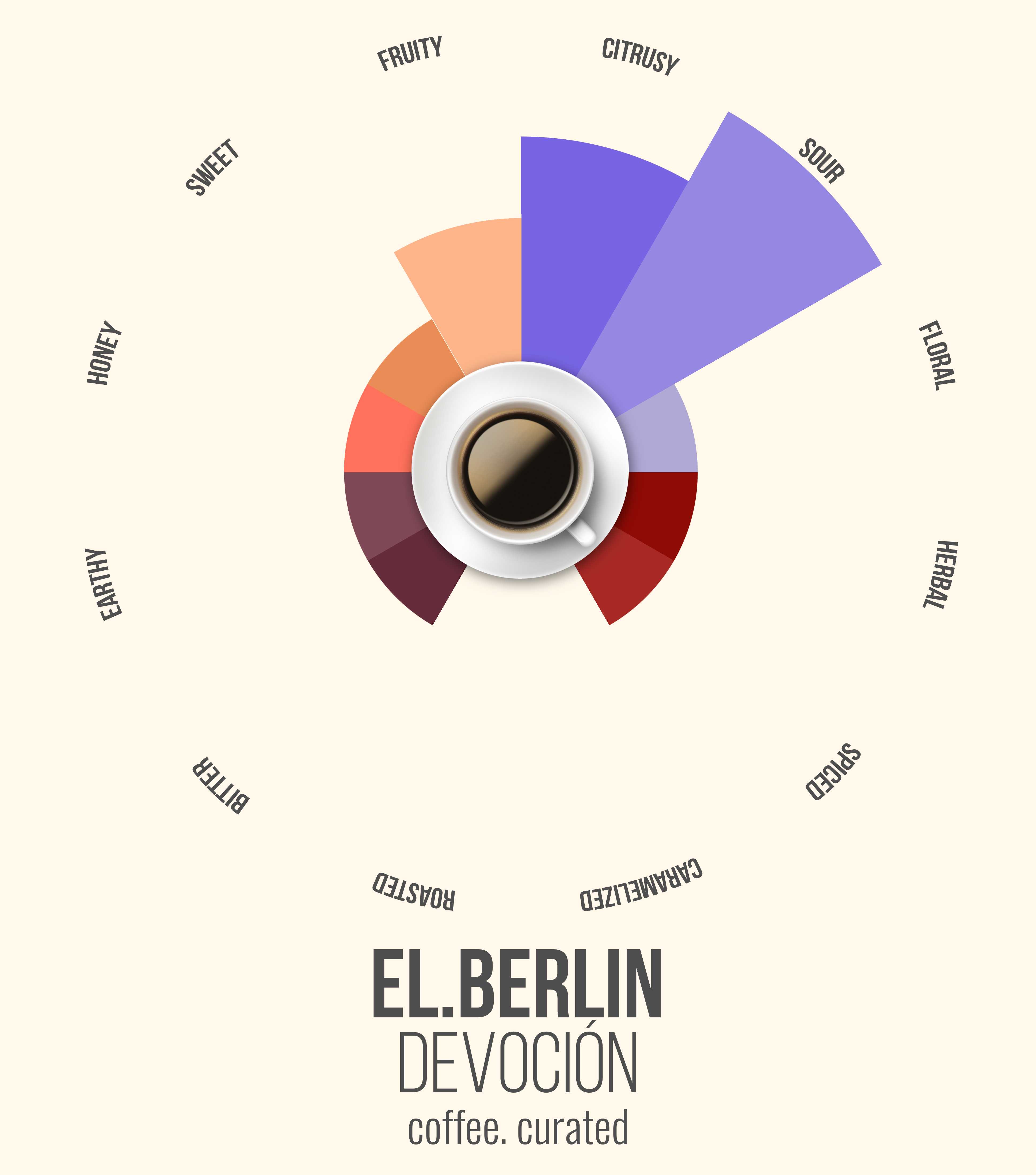 EL BERLIN Devocion Coffee