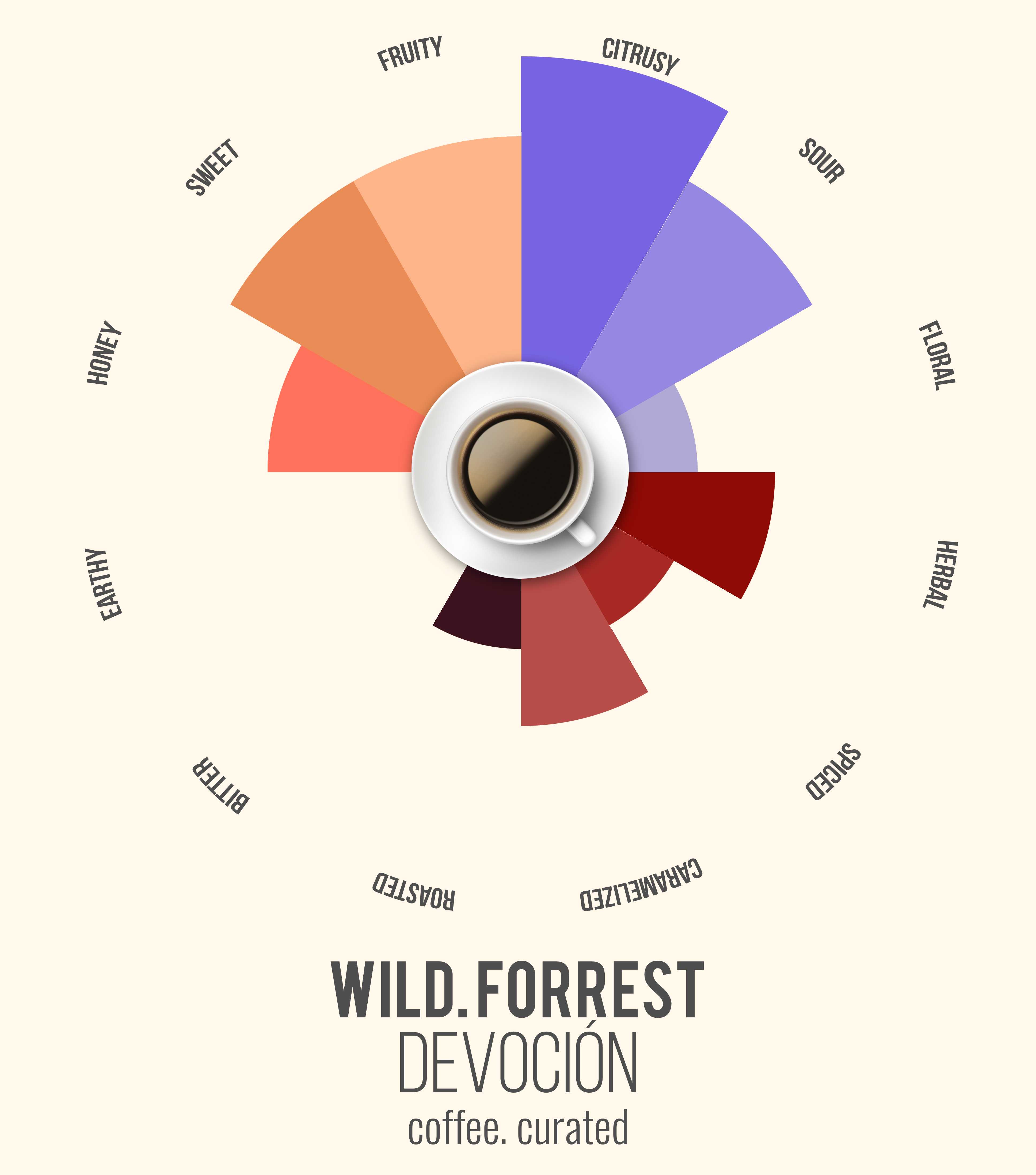 WILD FORREST Devocion Coffee