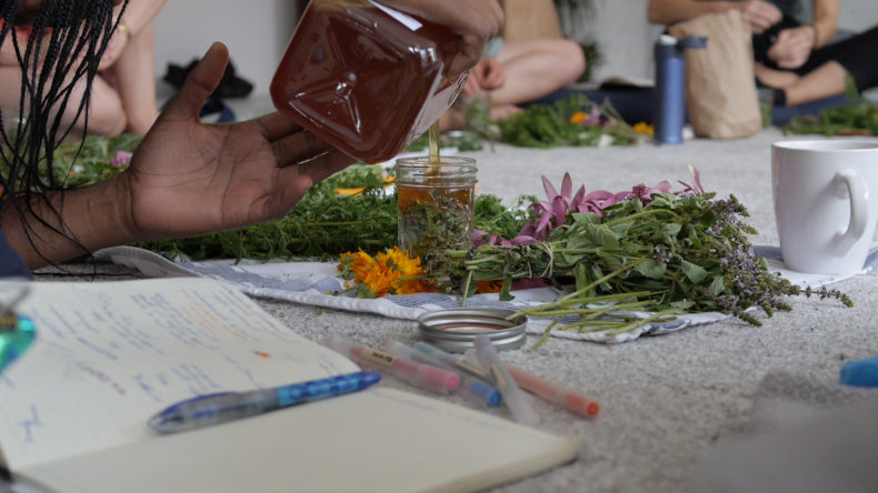 Gathering Ground, Herbal Medicine Class, food. curated.