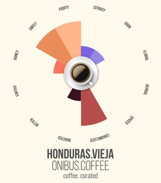 ONIBUS Honduras, Coffee. Curated.