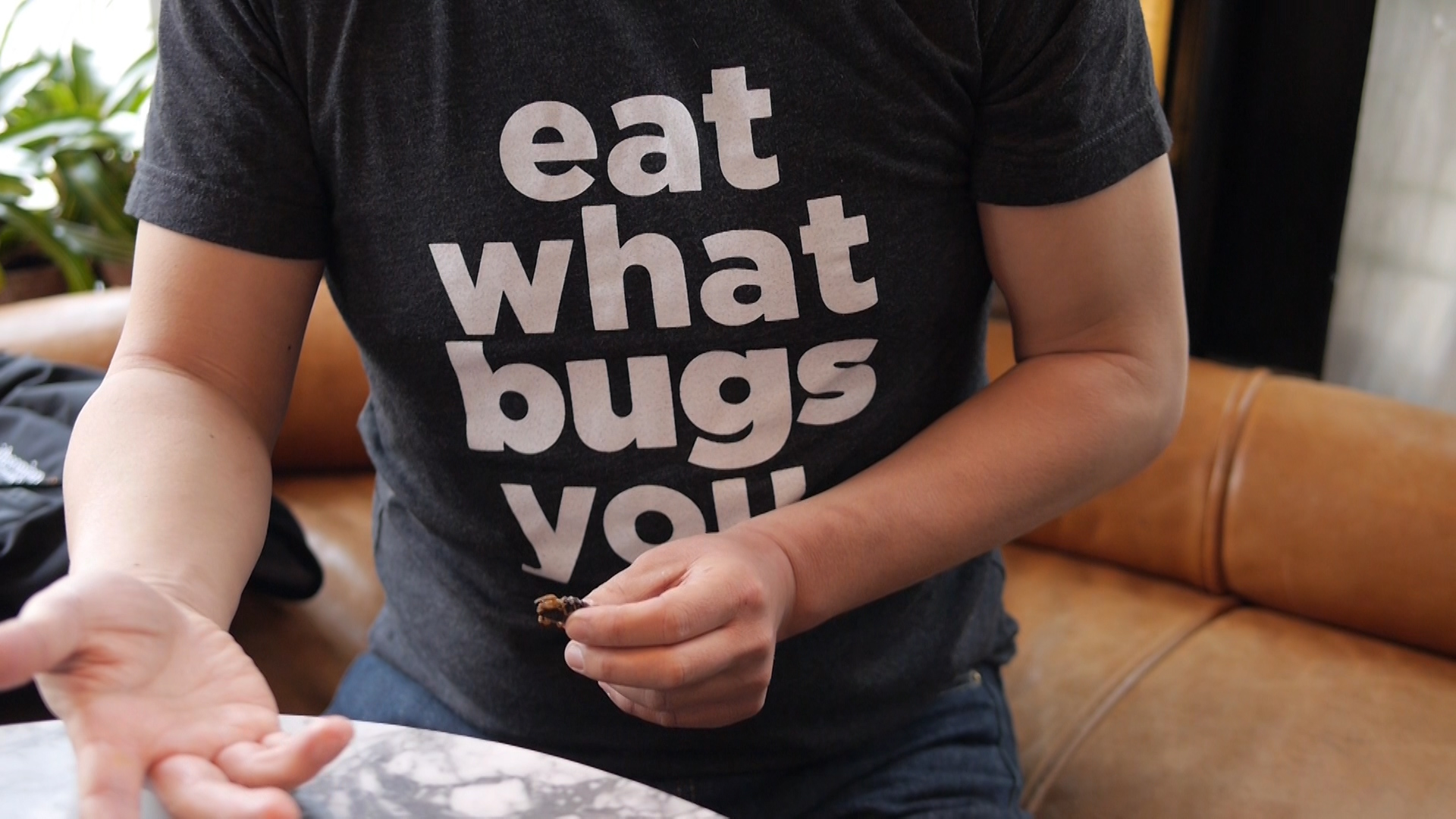 food curated, brooklyn bugs