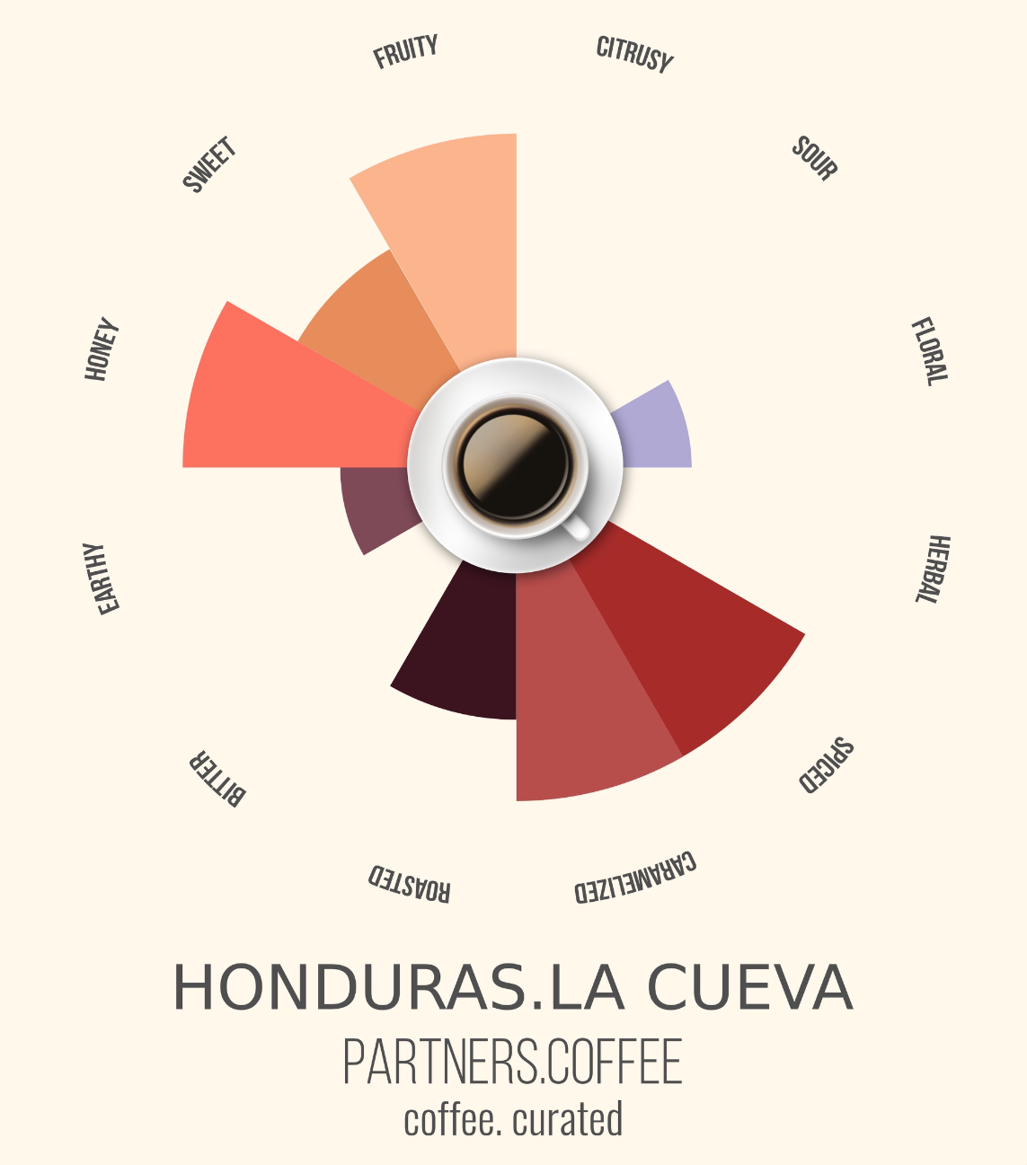 Partners Coffee Honduras_Coffee Curated