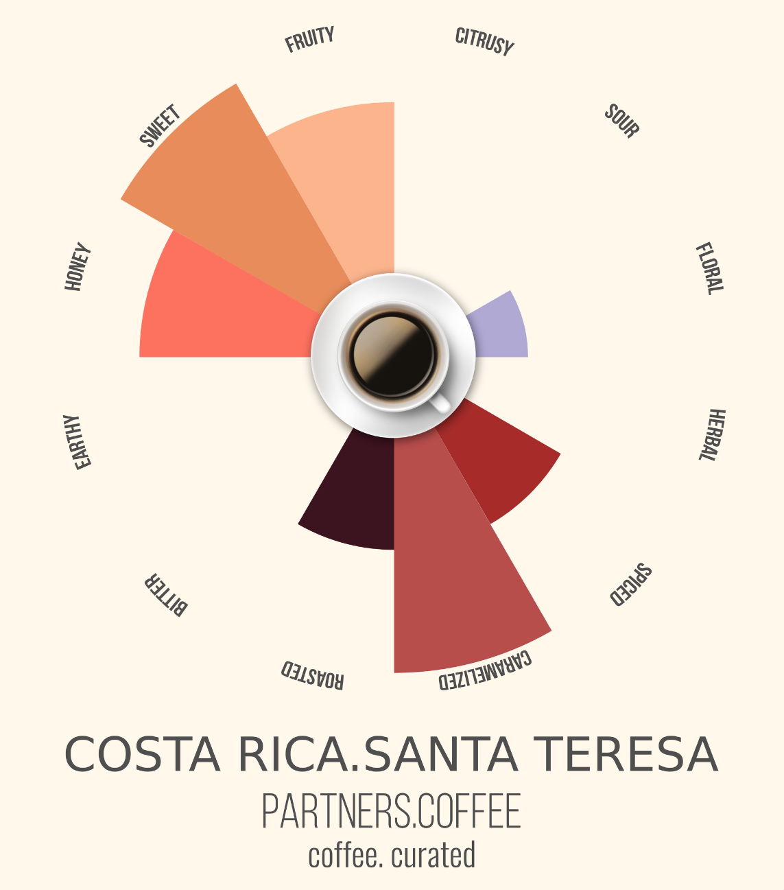 Partners Coffee Costa Rica_Coffee Curated