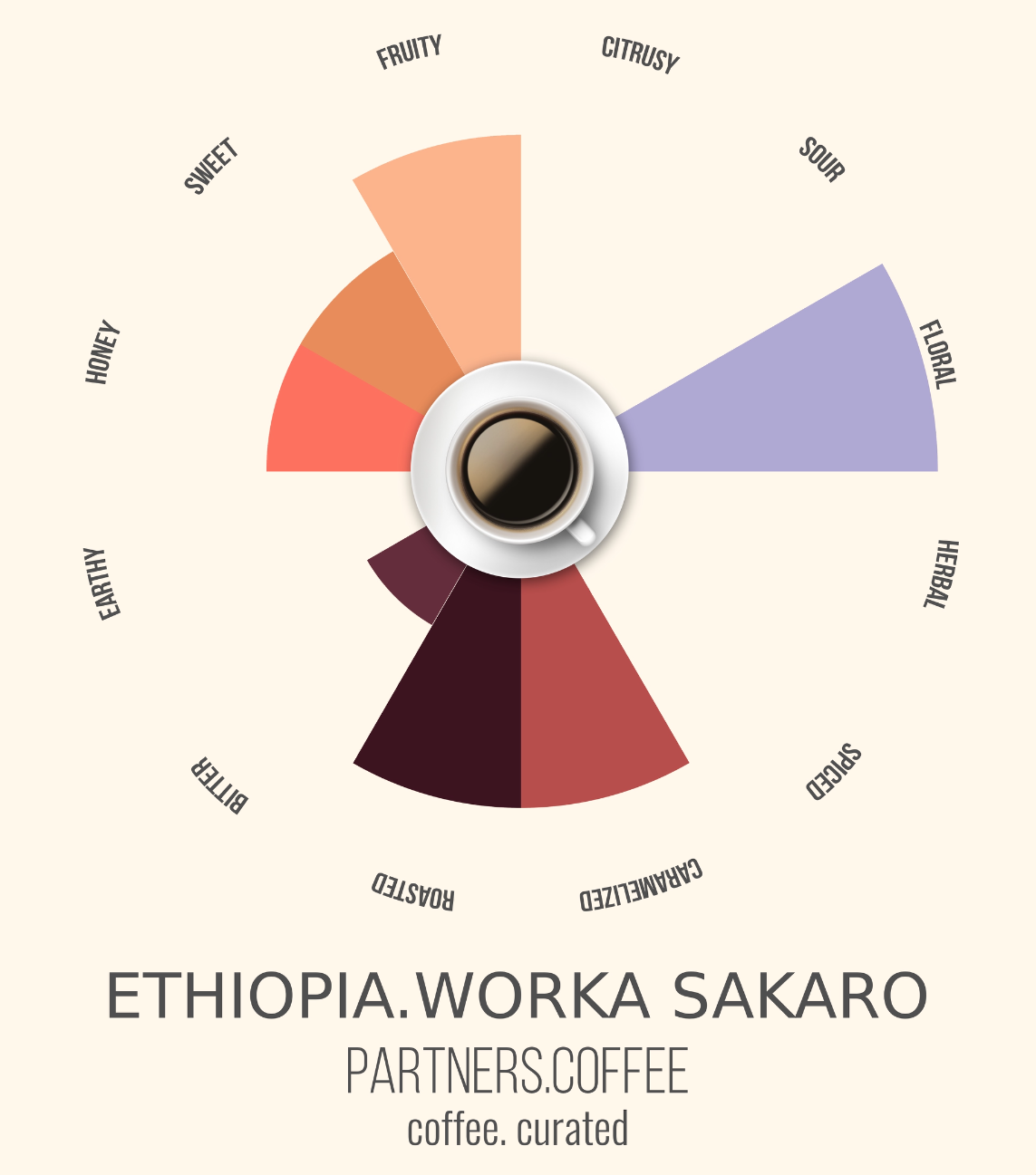 Partners Coffee Ethiopia_Coffee Curated