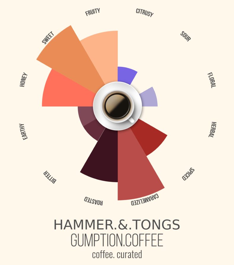 Gumption Coffee, Hammer & Tongs, Coffee Curated