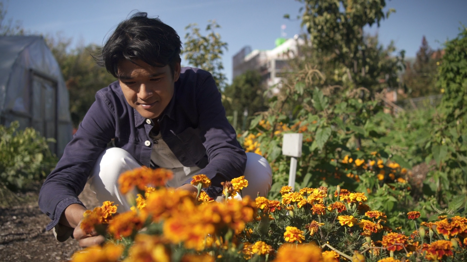 Chef Woldy Reyes at Phoenix Farm